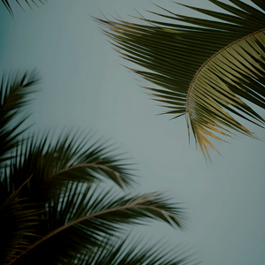 业余自由XXⅩ性西元
